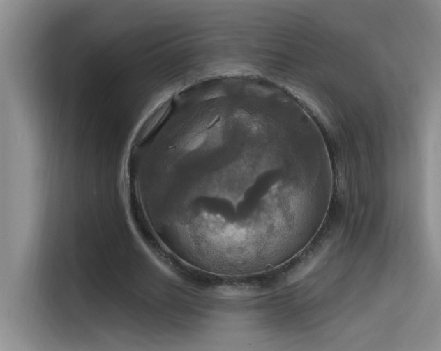 X0000114720630200910211348