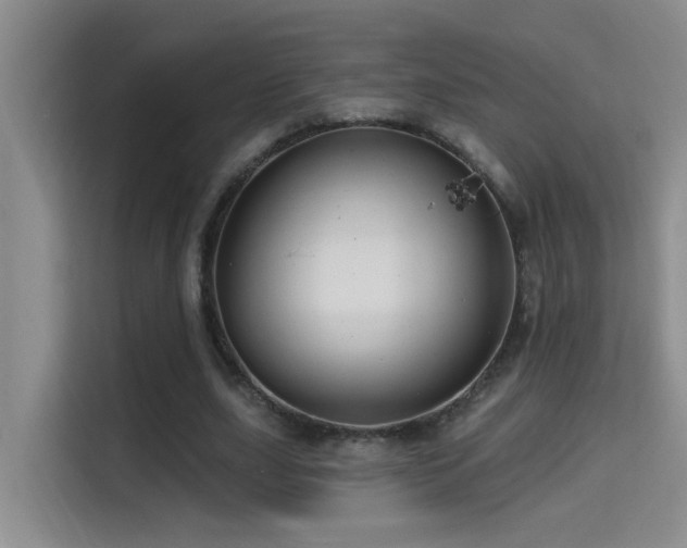 X0000114720631200910211348