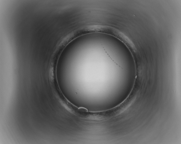 X0000114720633200910211348