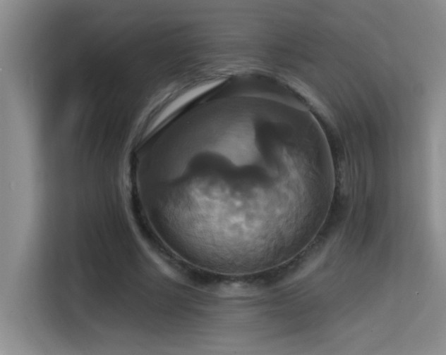 X0000114720634200910211348