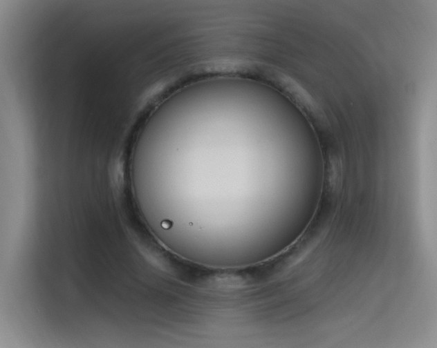 X0000114720636200910211348