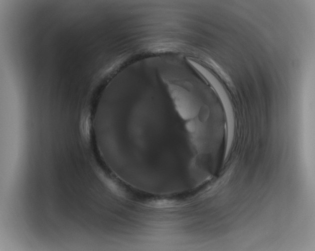 X0000114720637200910211348