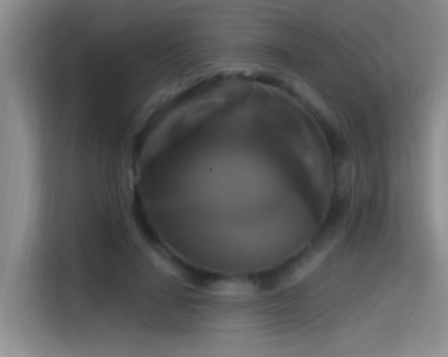 X0000114720644200910211348