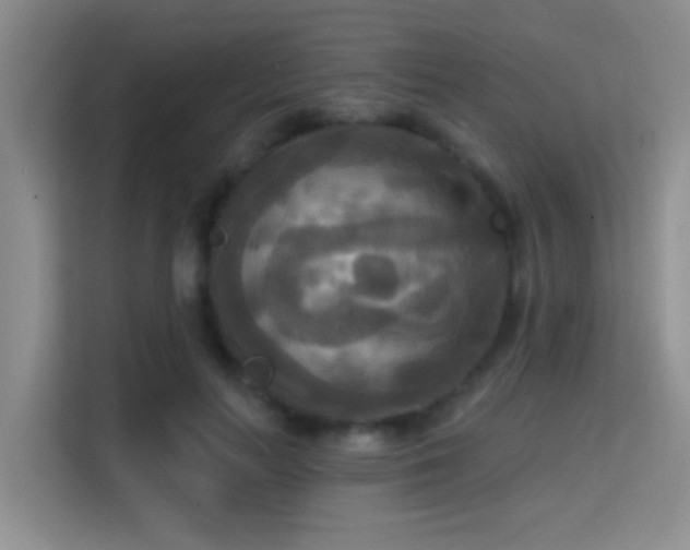 X0000114720647200910211348