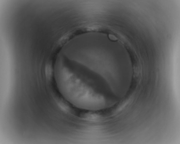 X0000114720648200910211348