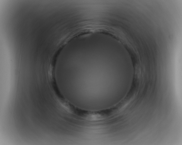 X0000114720650200910211348