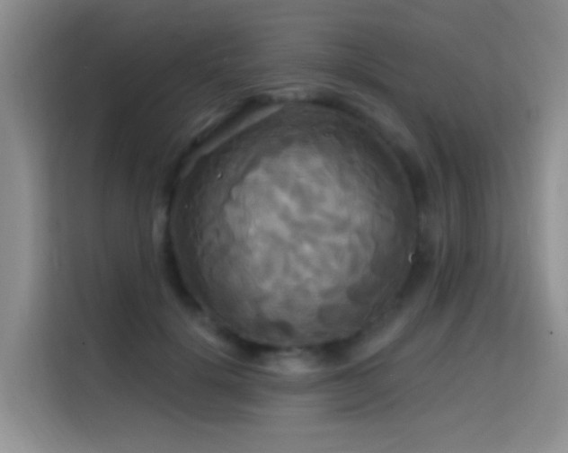 X0000114720652200910211348