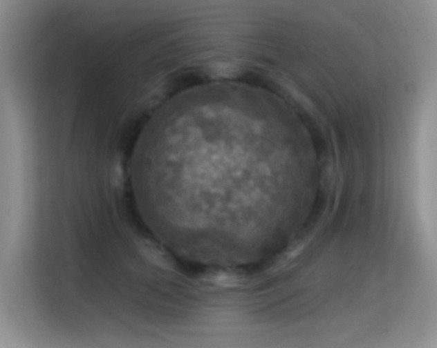 X0000114720655200910211348