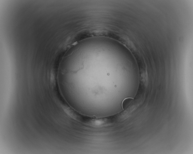 X0000114720662200910211348