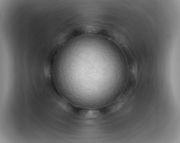 X0000114720663200910211348