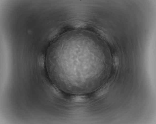 X0000114720664200910211348