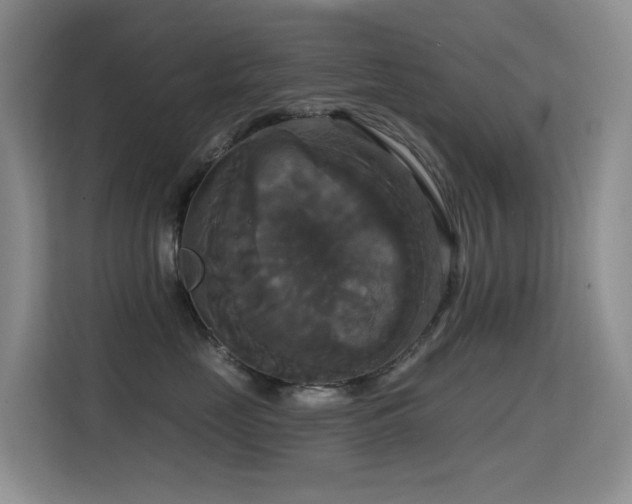 X0000114720669200910211348