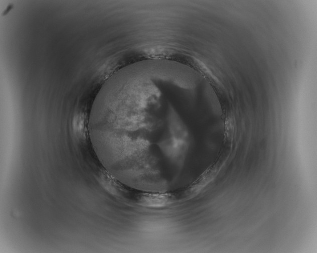 X0000114720671200910211348