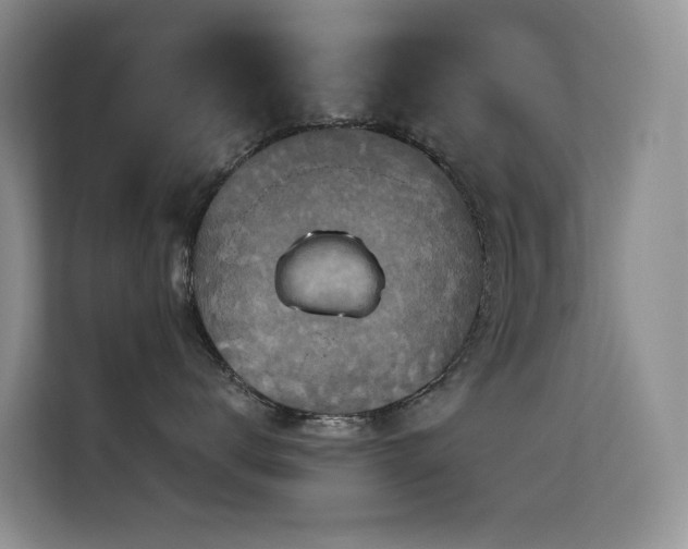 X0000114720672200910211348