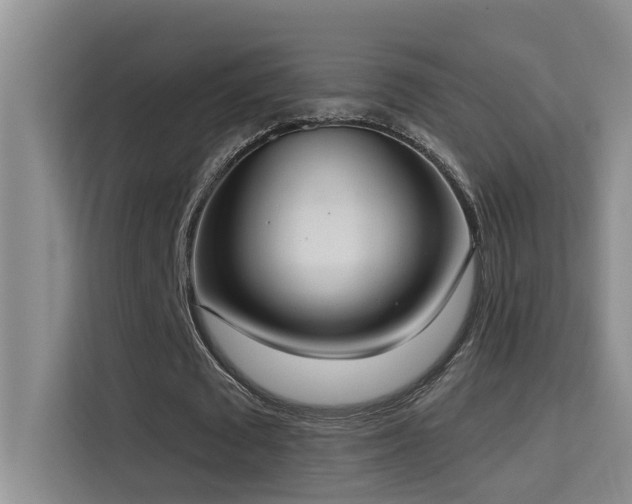 X0000114720673200910211348