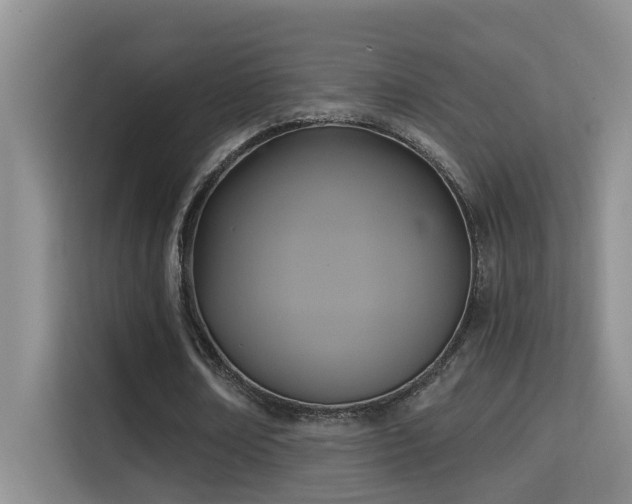 X0000114720674200910211348