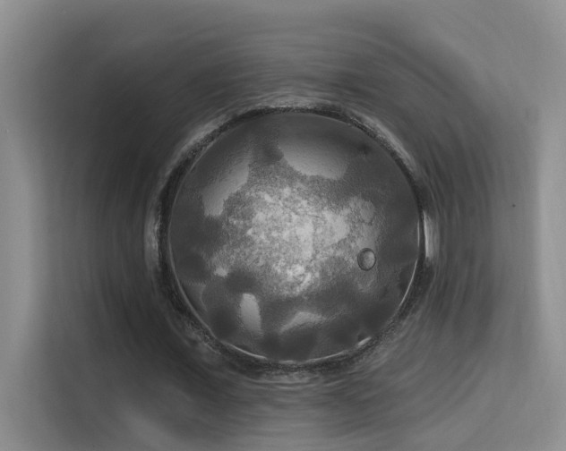 X0000114720675200910211348