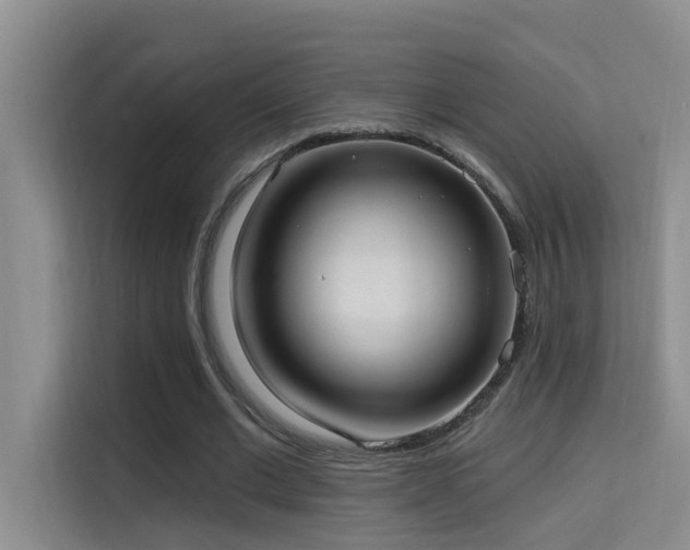 X0000114720677200910211347