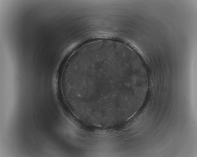 X0000114720679200910211347