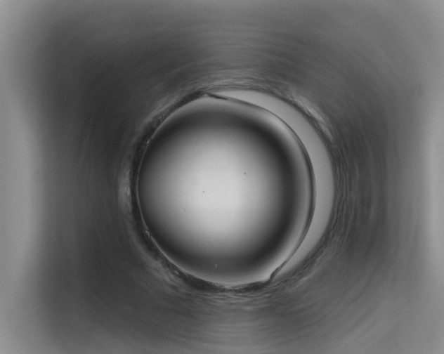 X0000114720681200910211347