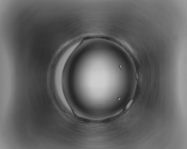 X0000114720684200910211347