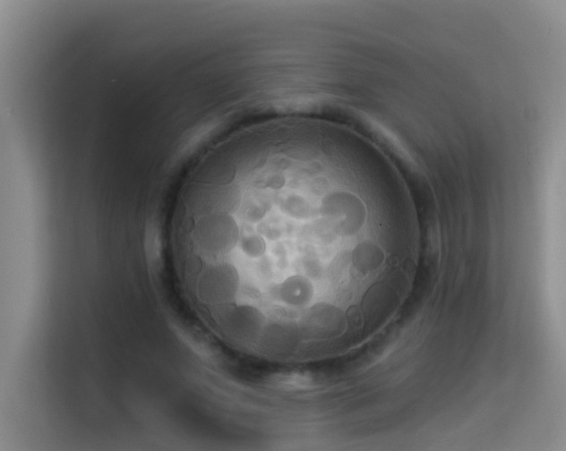 X0000114720687200910211347