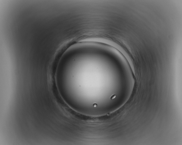 X0000114720688200910211347