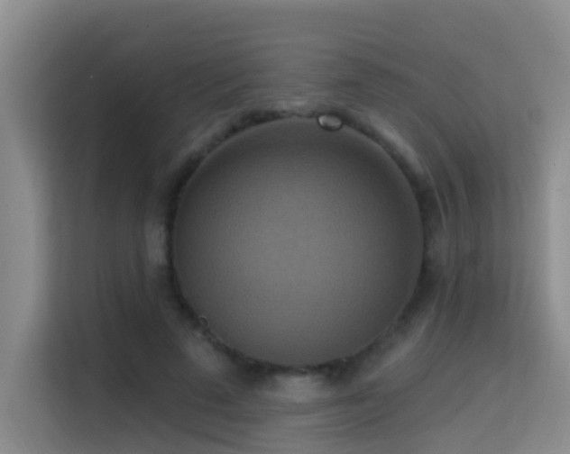 X0000114720689200910211347