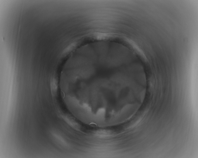 X0000114720691200910211347