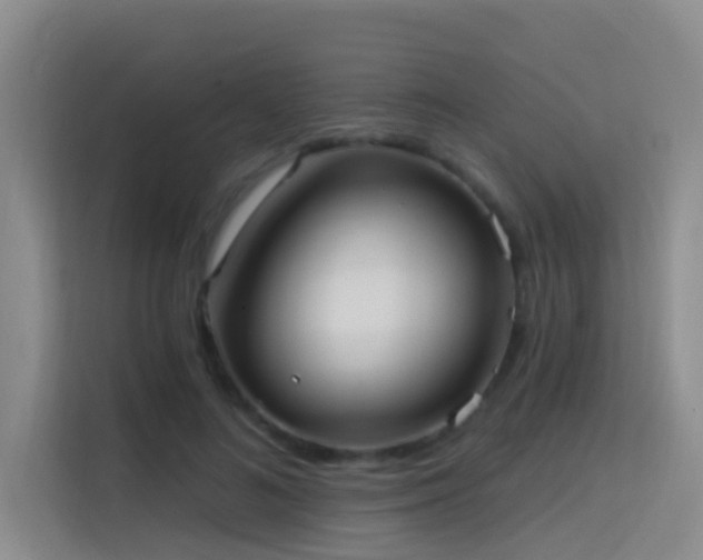 X0000114720692200910211347