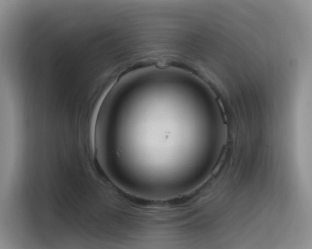 X0000114720693200910211347