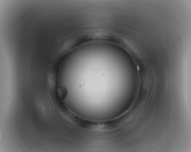 X0000114720695200910211347