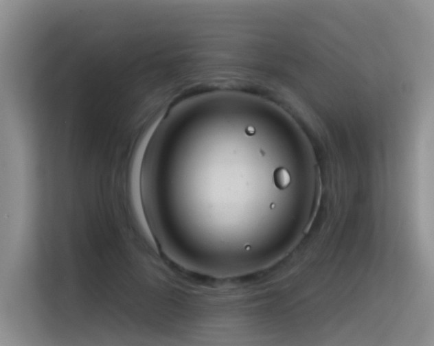 X0000114720696200910211347