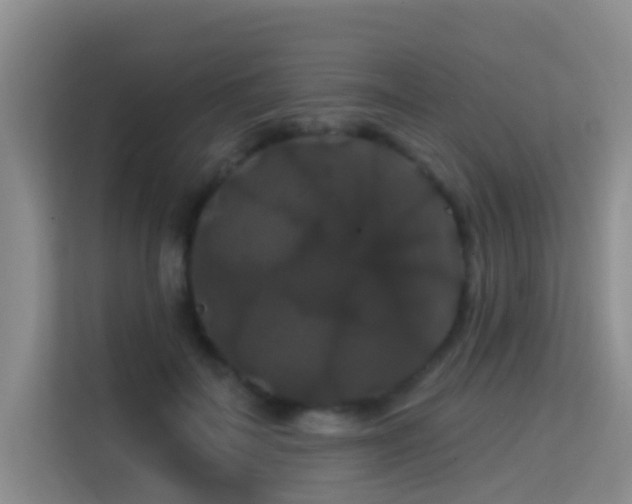 X0000114720699200910211347