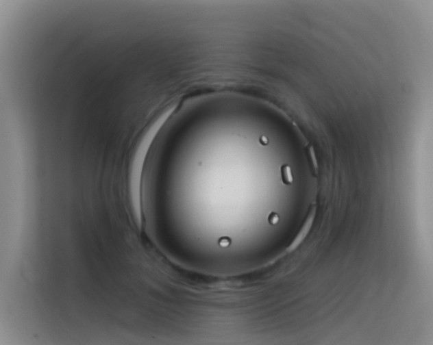 X0000114720700200910211347