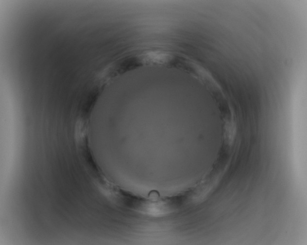 X0000114720701200910211347