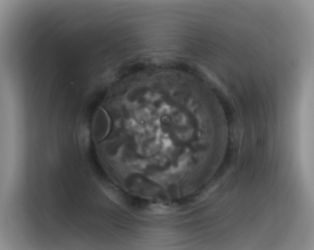 X0000114720703200910211347