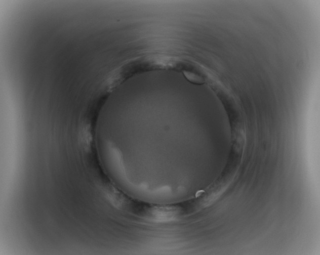 X0000114720707200910211347