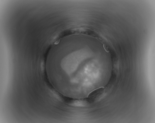 X0000114720708200910211347