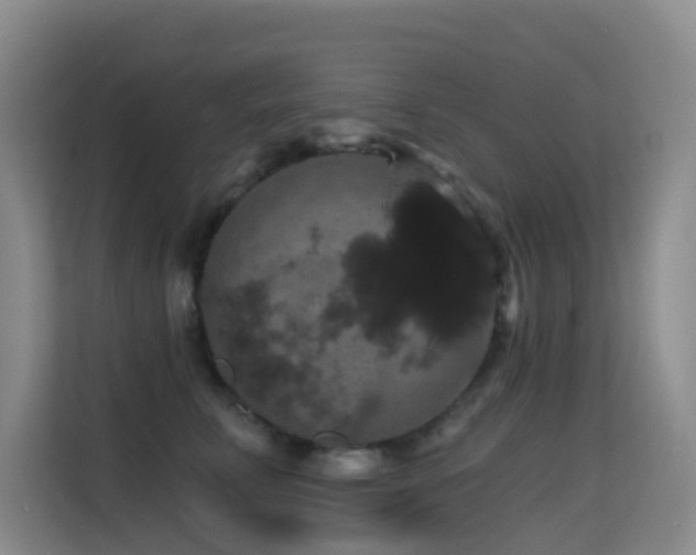 X0000114720711200910211347