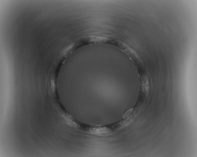 X0000114720716200910211347