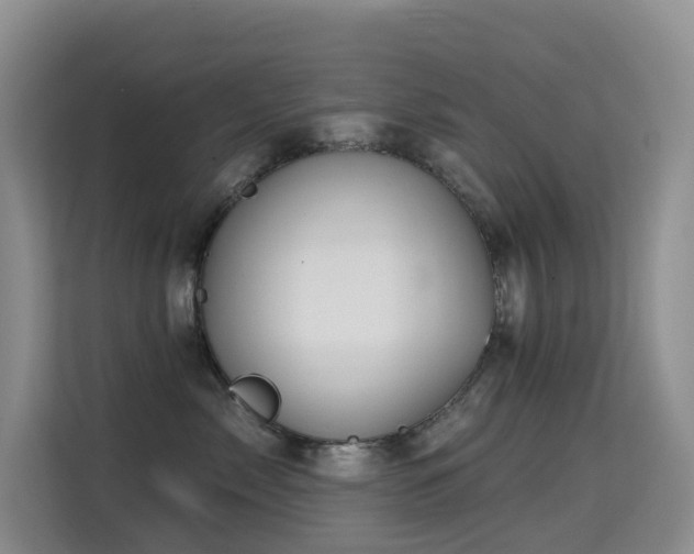 X0000114720717200910211347