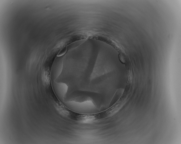 X0000114720719200910211347