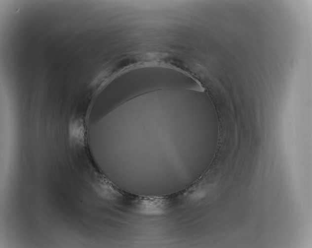 X0000114720720200910211347