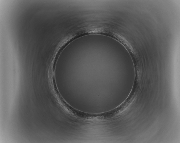 X0000114720721200910211346