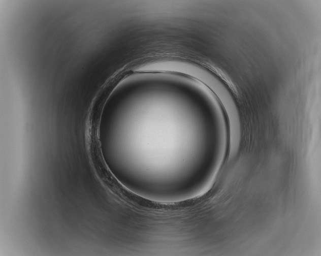 X0000114720722200910211346