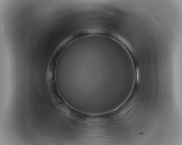 X0000114720723200910211346