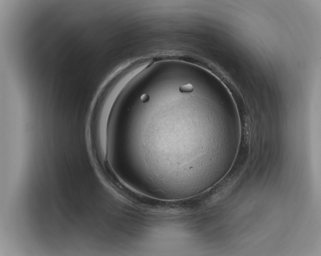 X0000114720726200910211346