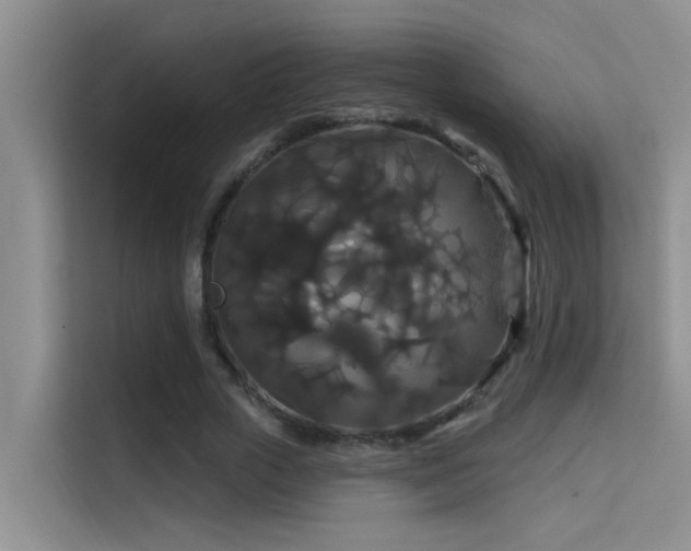 X0000114720729200910211346