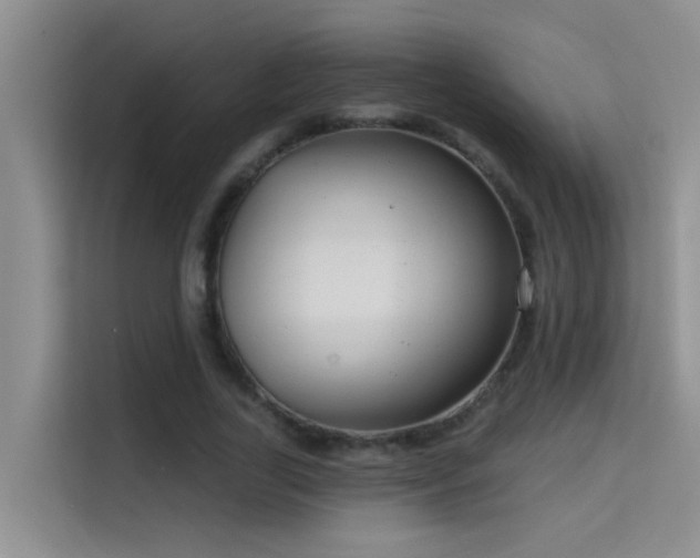 X0000114720731200910211346